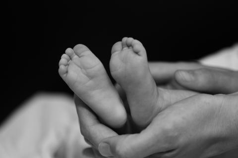 Taneja S, Bahl S, Mazumder S, Martines J, Bhandari N, Bhan MK, Impact on inequities in health indicators: Effect of implementing the integrated management of neonatal and childhood illness programme in Haryana, India, 2015: Journal of Global Health, Vol: 5, No: 1.
