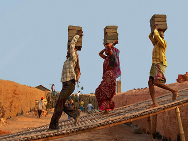 Lingam L, Pitre A, Gender inequities in health access and outcomes.