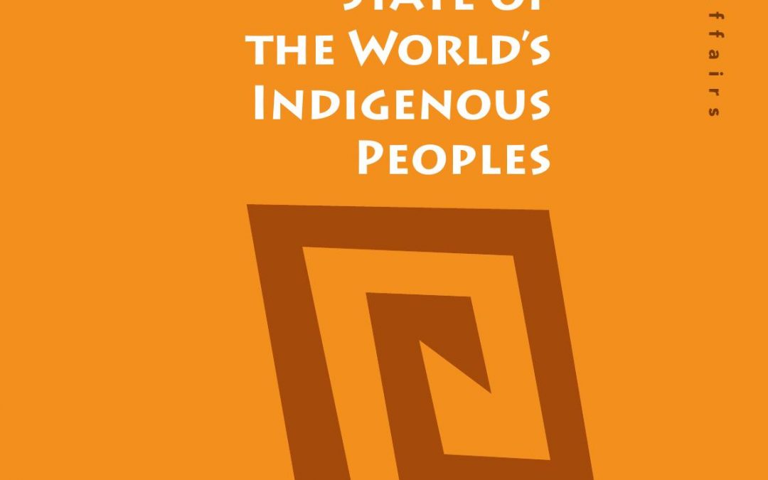 State of the world’s Indigenous Peoples, Economic and Social Affairs, 2009: Division for Social Policy and Development, United Nations
