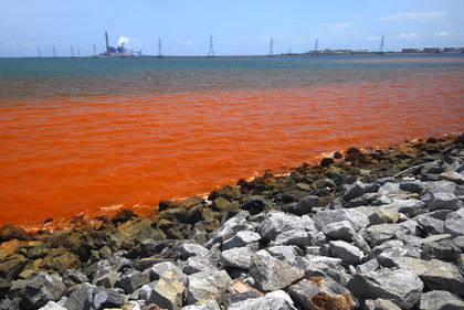 Boodram CS, Johnson EJ, Environmental health hazard on industrial disasters: a study on how to achieve community – level social support, 2016: Natural Hazards, Vol: 84, No: 1, p109-120.