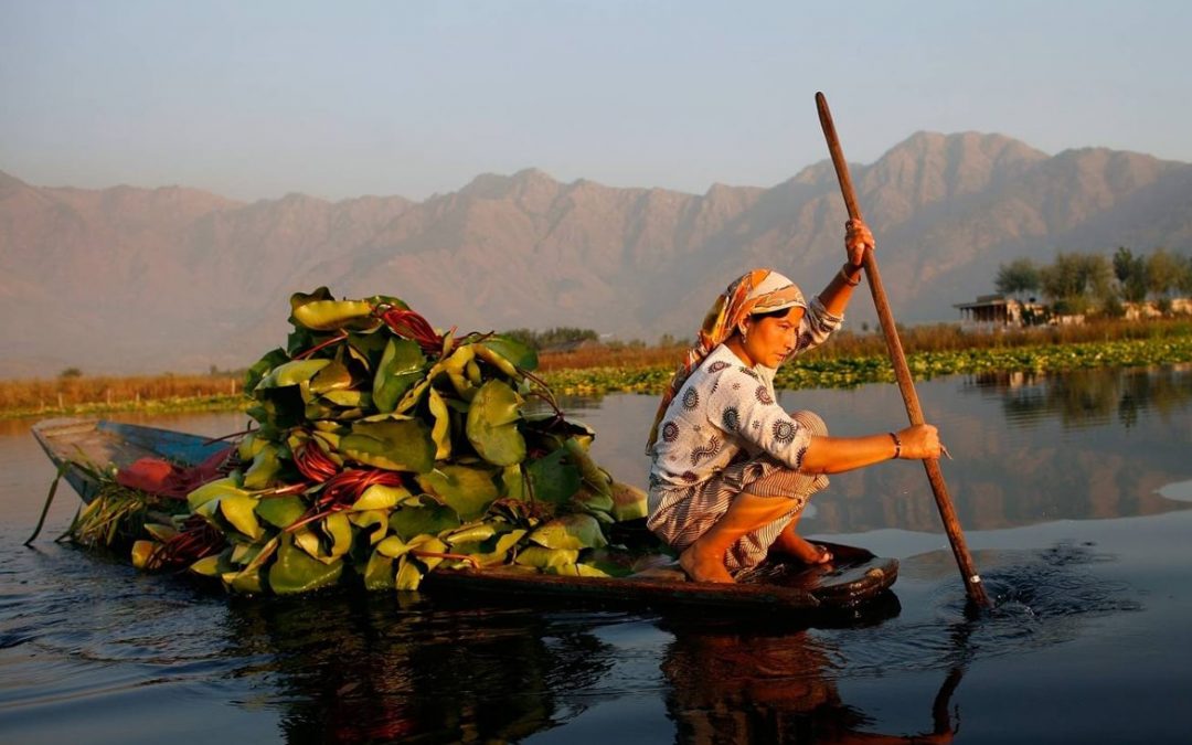 Rafiqi B, How Violence In The Valley Is Taking A Huge Toll On The Mental Health Of Its Women, December 23, 2016: Women’s Feature Service in Cake, Health & Life, Mental Health, Understanding Kashmir.