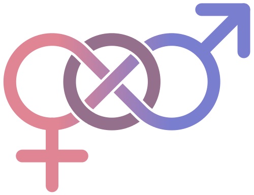 Gridley SJ, Crouch JM,   Evans Y Eng W, Antoon E,  Lyapustina M  Schimmel-Bristow A,  Woodward J, Youth and Caregiver Perspectives on Barriers to Gender-Affirming Health Care for Transgender Youth, 2016: Journal of Adolescent Health, Vol: 59, No: 3, p254-261.