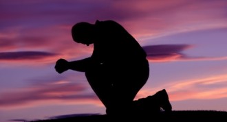 Newcomb ME, Mustanski B, Internalized homophobia and internalizing mental health problems: A meta-analytic review,  2010: Clinical Psychology Review, Vol: 30, No: 8, p1019-1029.