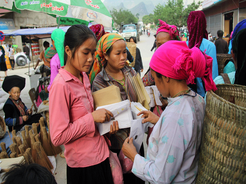 Målqvist M, Hoa DTP,  Liem NT, Thorson A, Thomsen S, Ethnic minority health in Vietnam: a review exposing horizontal inequity, Glob Health Action 2013, 6: 19803 – http://dx.doi.org/10.3402/gha.v6i0.19803