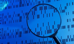 Nazroo JY, Genetic, cultural or socio-economic vulnerability? Explaining ethnic inequalities in health, 1998, Sociology of Health & Illness Vol. 20 No.5, ISSN 0141–9889, pp. 710–730.