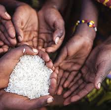 Van de Poel E, Hosseinpoor AR, Speybroeck N, Van Ourti T, Vega J. Socioeconomic inequality in malnutrition in developing countries.(2008) Bulletin of the World Health Organization;86(4):282-291. doi:10.2471/BLT.07.044800.
