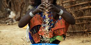 Nisbett N, Davis P, Yosef S, Akhtar N, Bangladesh’s story of change in nutrition: Strong improvements in basic and underlying determinants with an unfinished agenda for direct community level support, 2017, Global Food Security Volume 13, Pages 21-29.