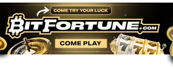 Understanding Bitfortune Fast Payouts and Network Fees